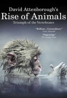David Attenboroughs Rise of Animals: Triumph of the Vertebrates