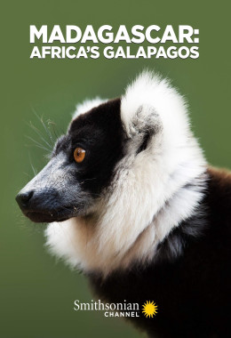 Madagascar: Africas Galapagos